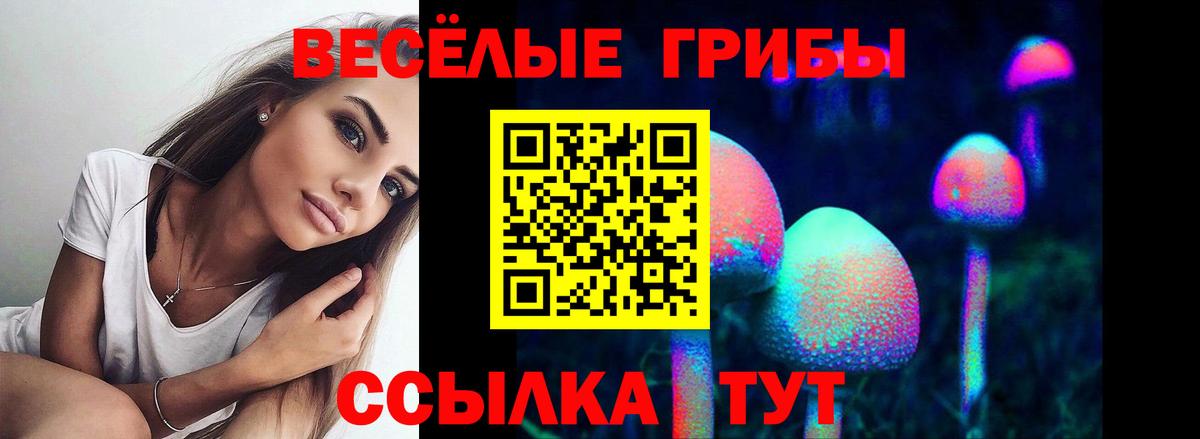 ГАШ  Меф МЯУ МЯУ  Зеленогорск  Кокаин  MDMA  МЕФ кристаллы  Вход с VPN  МАРИХУАНА 